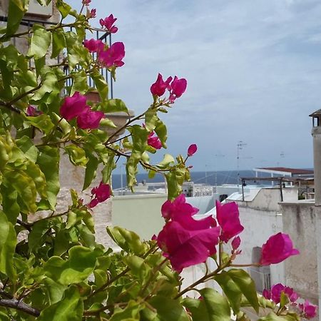 La Casetta Nel Vico Polignano a Mare Kültér fotó