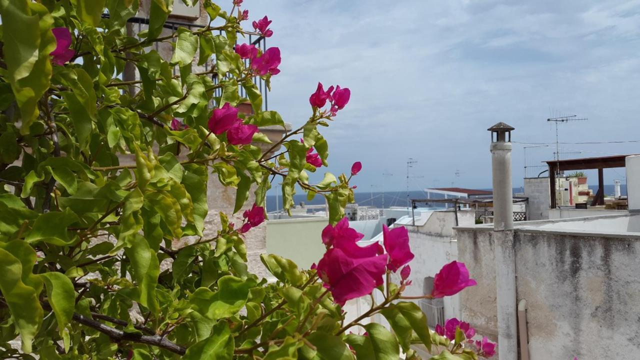 La Casetta Nel Vico Polignano a Mare Kültér fotó